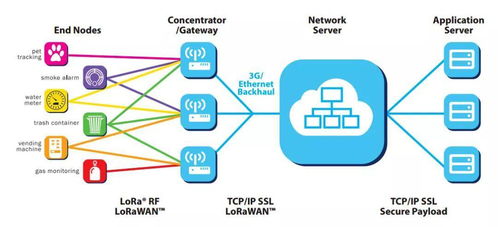 LoRa vs NB-IoT 一場物聯網時代C位爭奪戰